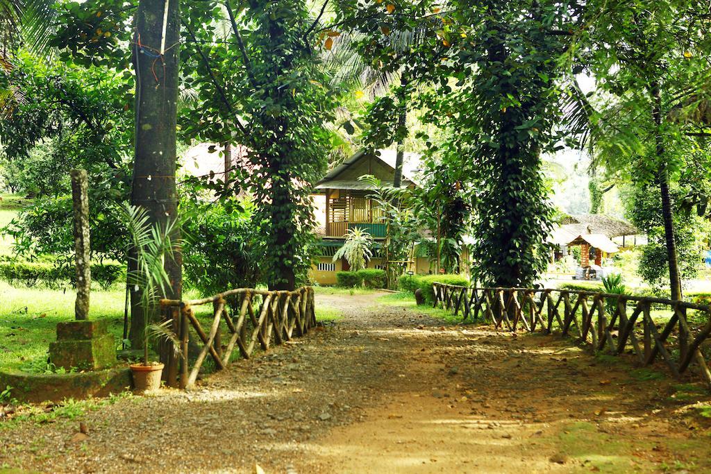 Soma Birds Lagoon Hotell Kotamangalam Eksteriør bilde